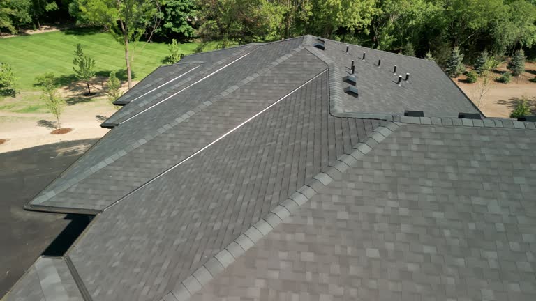 Professional Roofing Services in Salt Creek Commons, IN